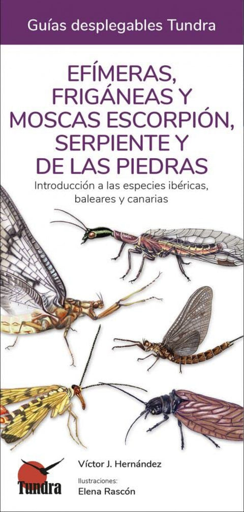  EFÍMERAS, FRIGÁNEAS Y MOSCAS TUNDRA 