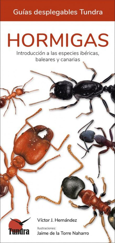  HORMIGAS - GUIAS DESPLEGABLES TUNDRA 