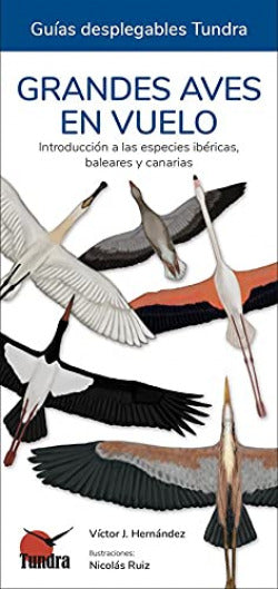  GRANDES AVES EN VUELO - GUIAS DESPLEGABLES TUNDRA 