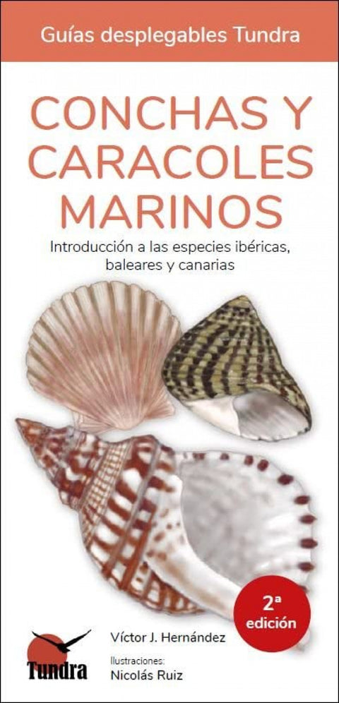  CONCHAS Y CARACOLES MARINOS - GUIAS DESPLEGABLES TUNDRA 