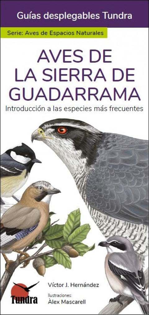  AVES DE LA SIERRA DE GUADARRAMA - GUIAS DESPLEGABLES TUNDRA 