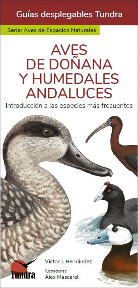  AVES DE DOÑANA Y HUMEDALES ANDALUCES - GUIAS DESPLEGABLES TUNDRA 