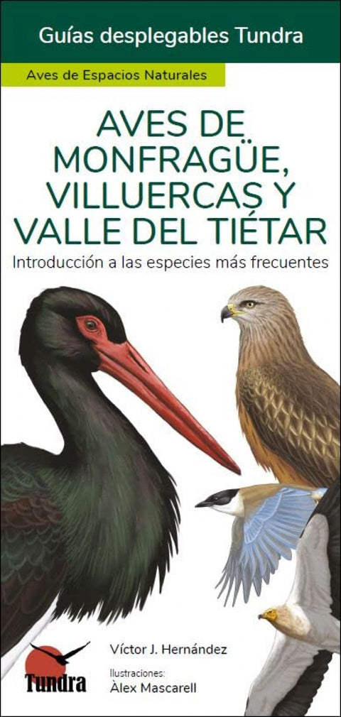  AVES DE MONFRAGUE, VILLUERCAS Y VALLE DEL TIETAR - GUIAS DESPLEGABLES TUNDRA 