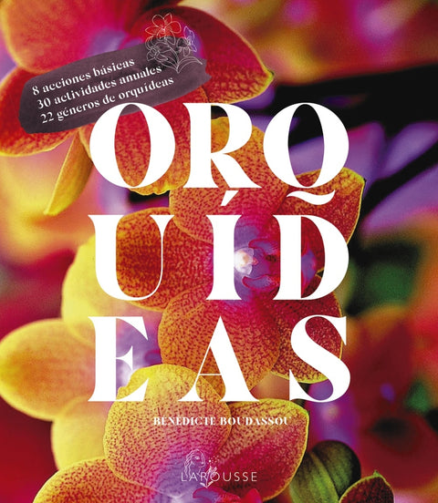  Orquídeas 