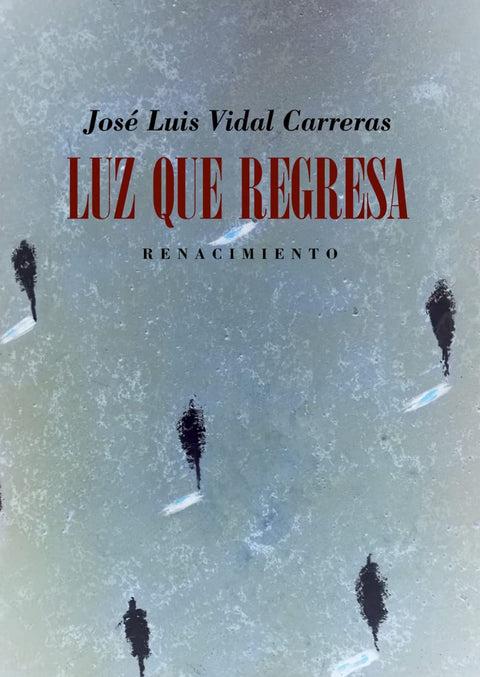  Luz que regresa 