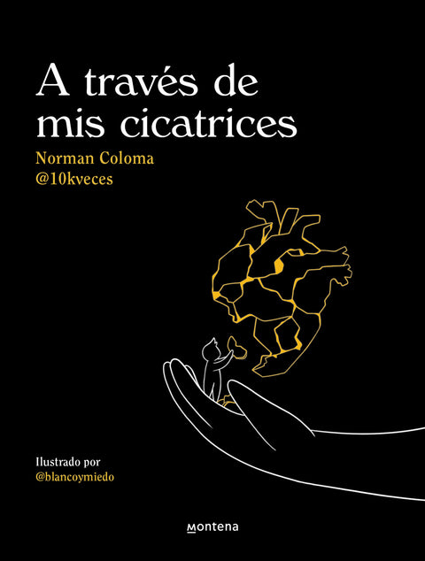  A través de mis cicatrices 