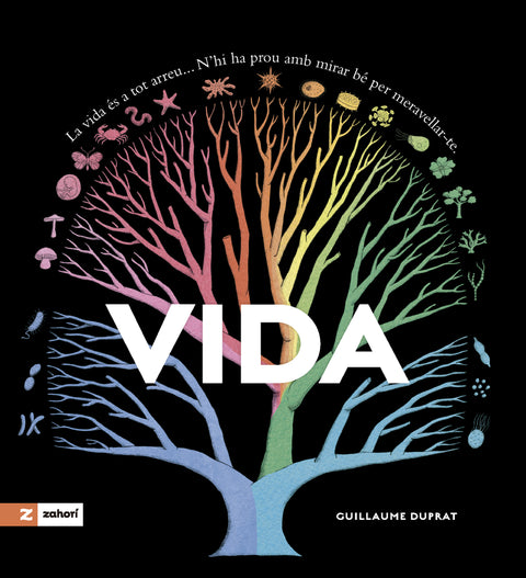  Vida 