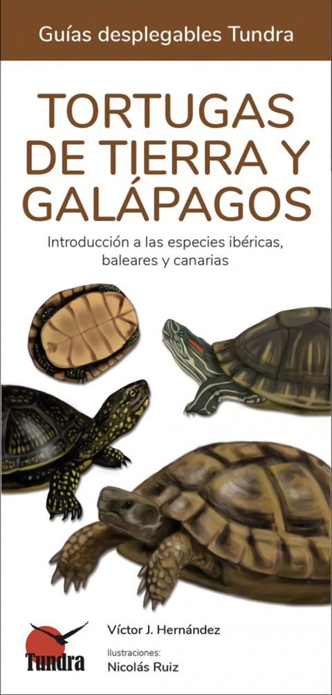  TORTUGAS MARINAS - GUIAS DEPLEGABLES TUNDRA 