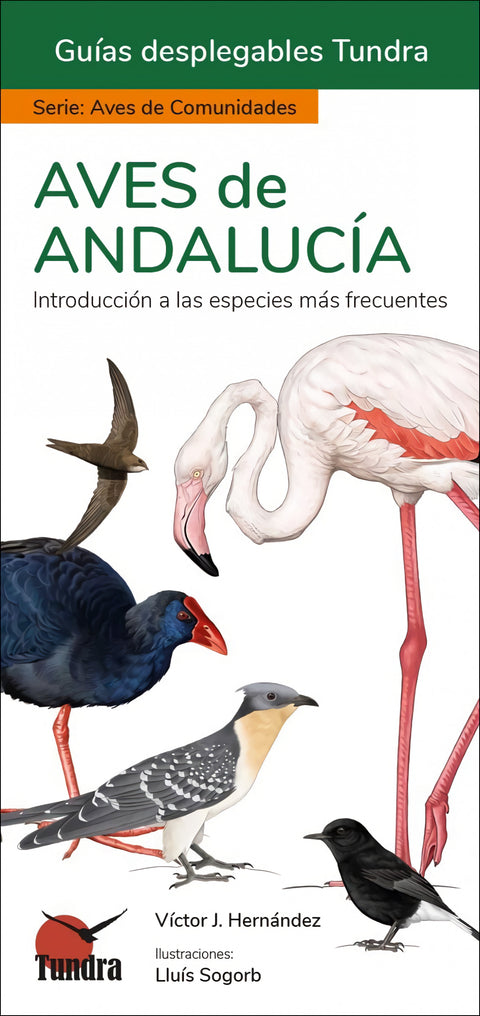  AVES DE ANDALUCIA - GUIAS DESPLEGABLES TUNDRA 