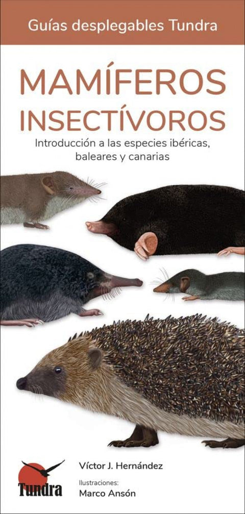  MAMIFEROS INSECTIVOROS 