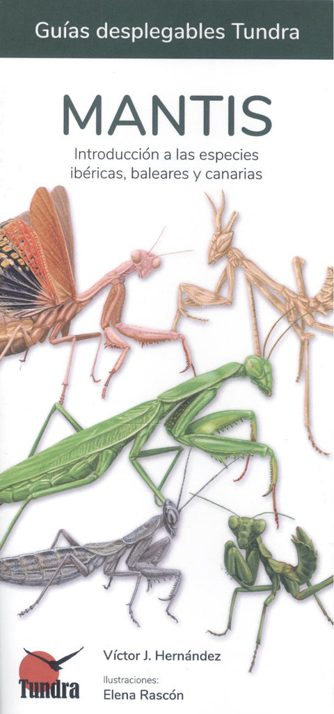  MANTIS - GUIAS DESPLEGABLES TUNDRA 