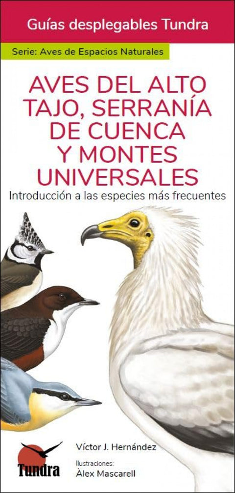  AVES DEL ALTO TAJO, SERRANIA DE CUENCA Y MONTES UNIVERSALES - GUIAS DESPLEGABLES 