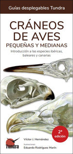 CRANEOS DE AVES PEQUEÑAS Y MEDIANAS