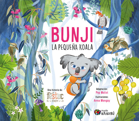  Bunji, la pequeña koala 
