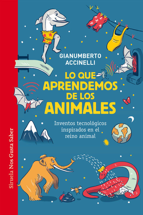 Lo que aprendemos de los animales 