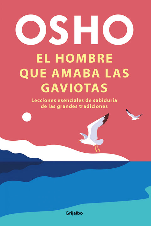  El hombre que amaba las gaviotas 