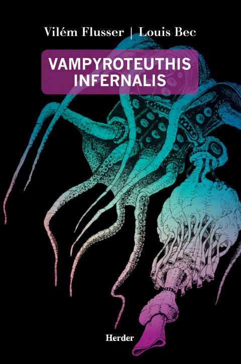  VAMPYROTEUTHIS INFERNALIS 