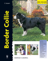  Border Collie 