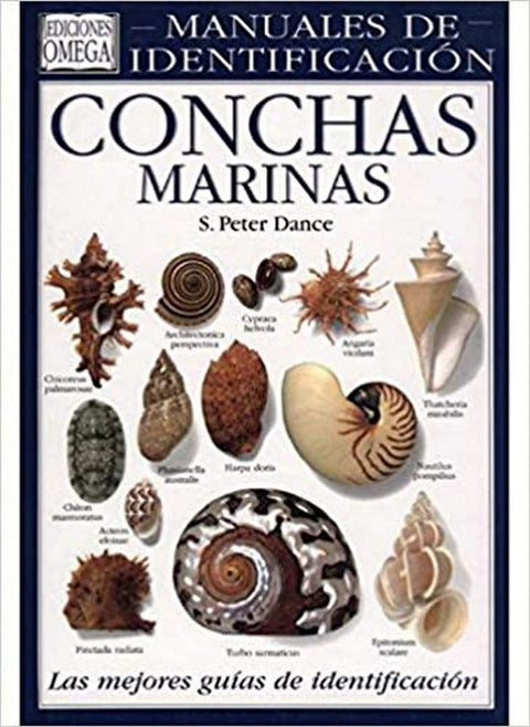  CONCHAS MARINAS 