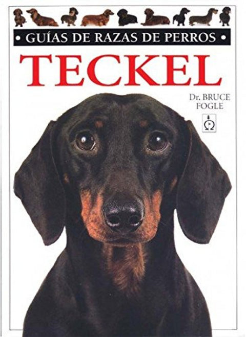  TECKEL. GUIAS RAZAS DE PERROS 