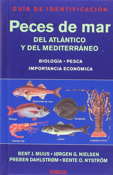  Peces de mar atlántico y mediterraneo: guía identificación 