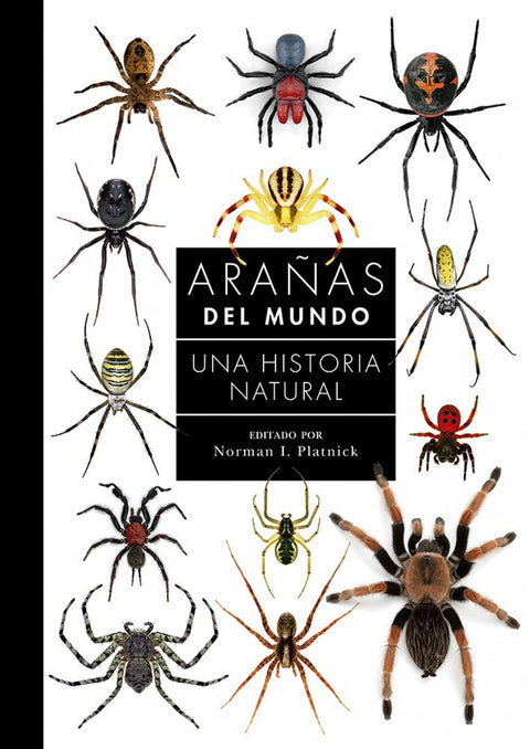  ARAÑAS DEL MUNDO 
