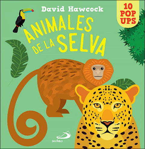  Animales de la selva 