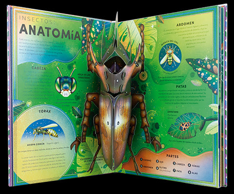  El increíble pop-up de los bichos 
