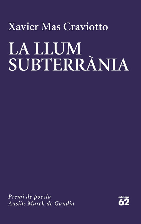  La llum subterrània 