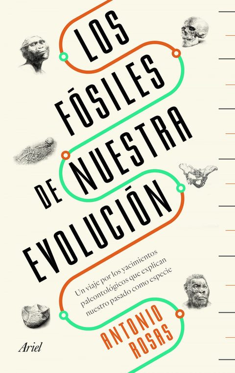  LOS FÓSILES DE NUESTRA EVOLUCIÓN 