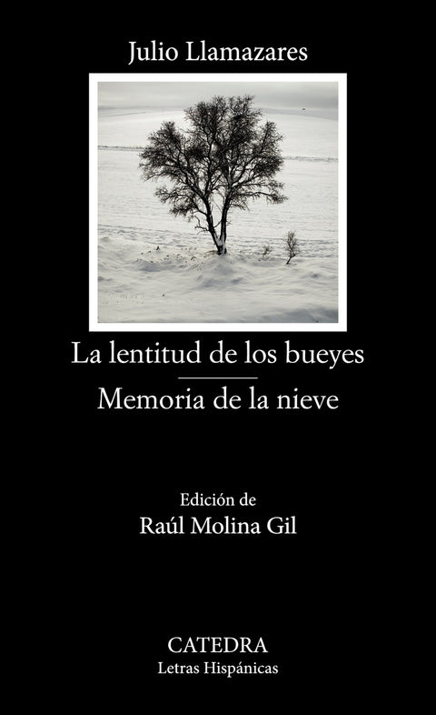  La lentitud de los bueyes;Memoria de la nieve 