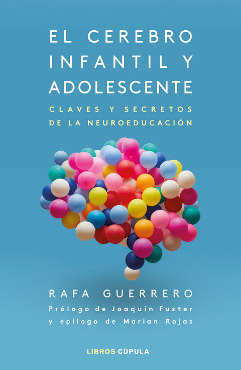  El cerebro infantil y adolescente 