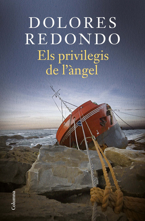  Els privilegis de l'àngel 