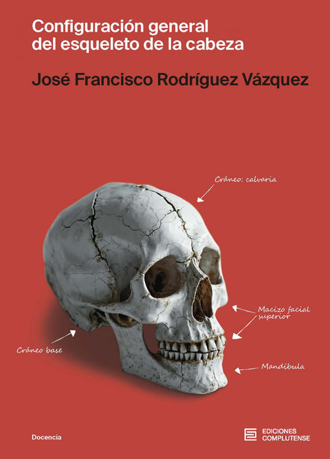  CONFIGURACIÓN GRAL. DEL ESQUELETO DE LA CABEZA 