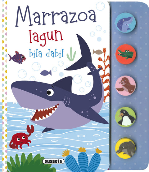  Marrazoa lagun bila dabil 