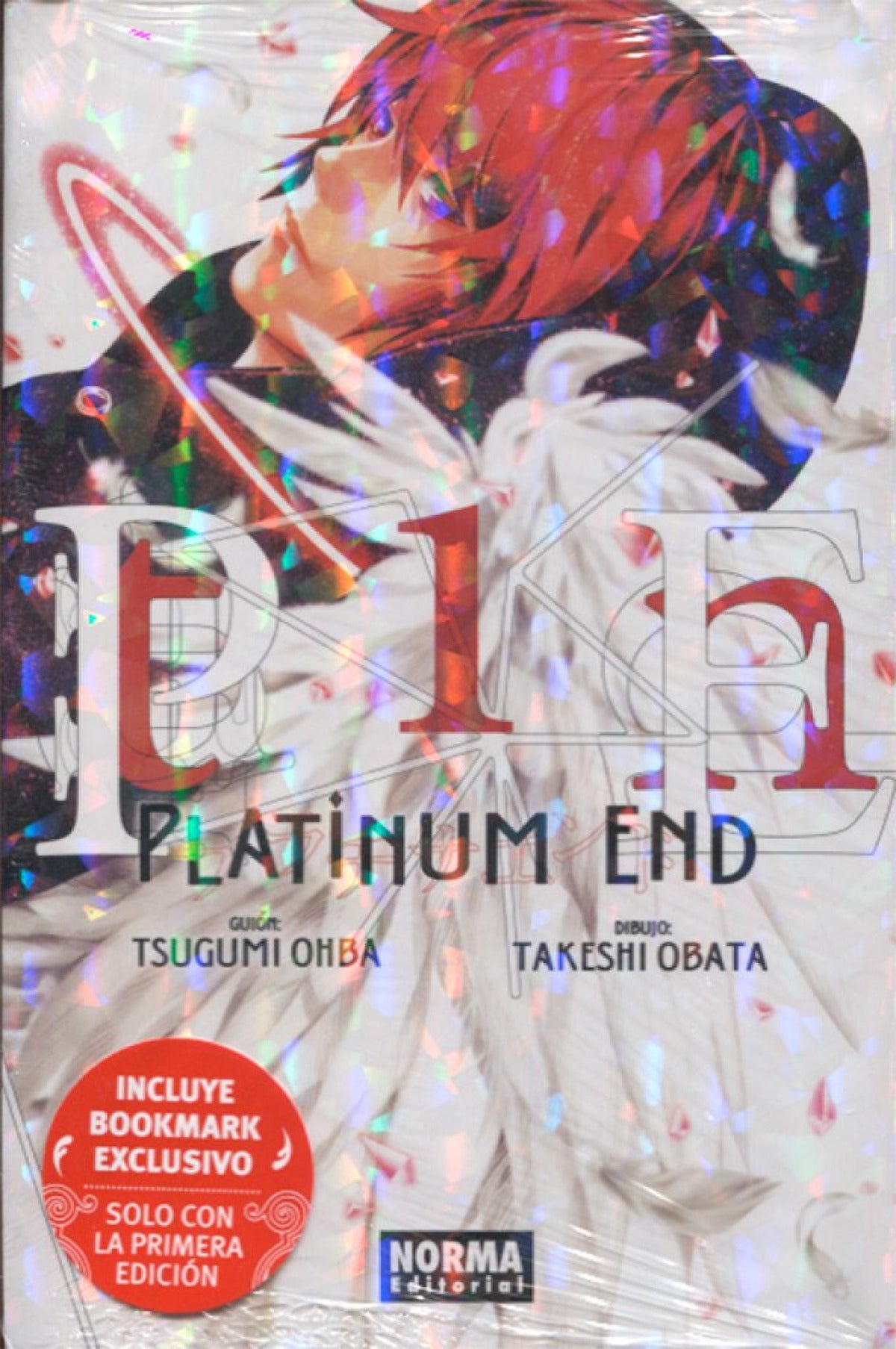  PLATINUM END 