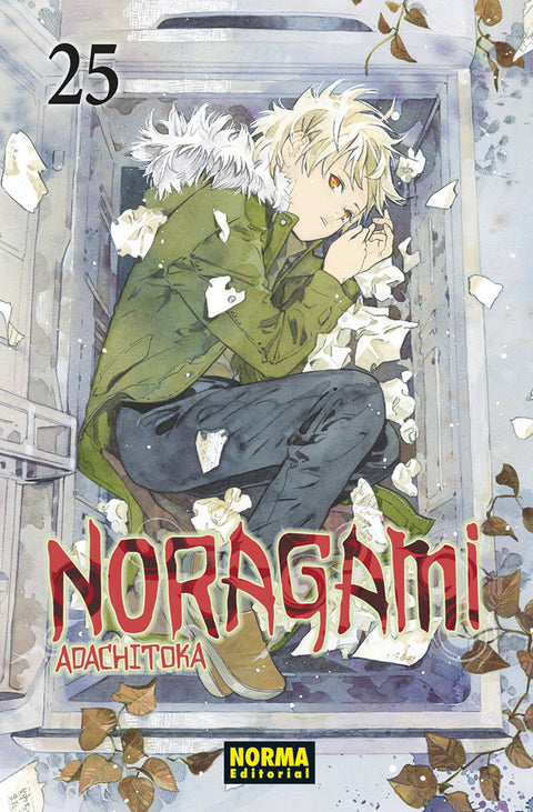  NORAGAMI 25 