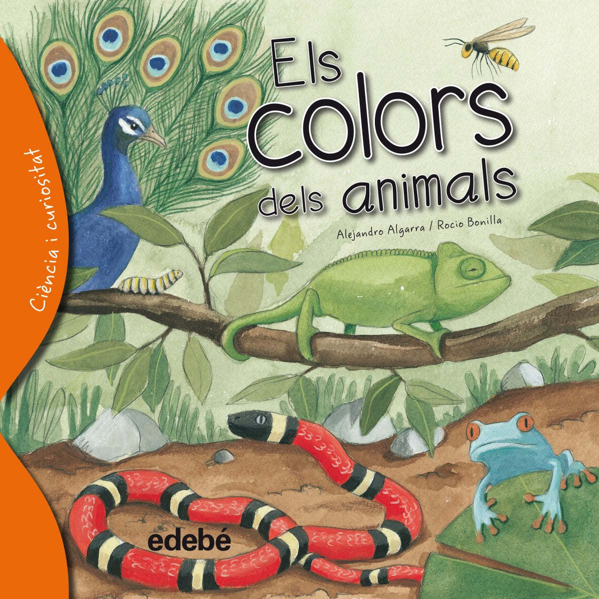  Els colors dels animals 