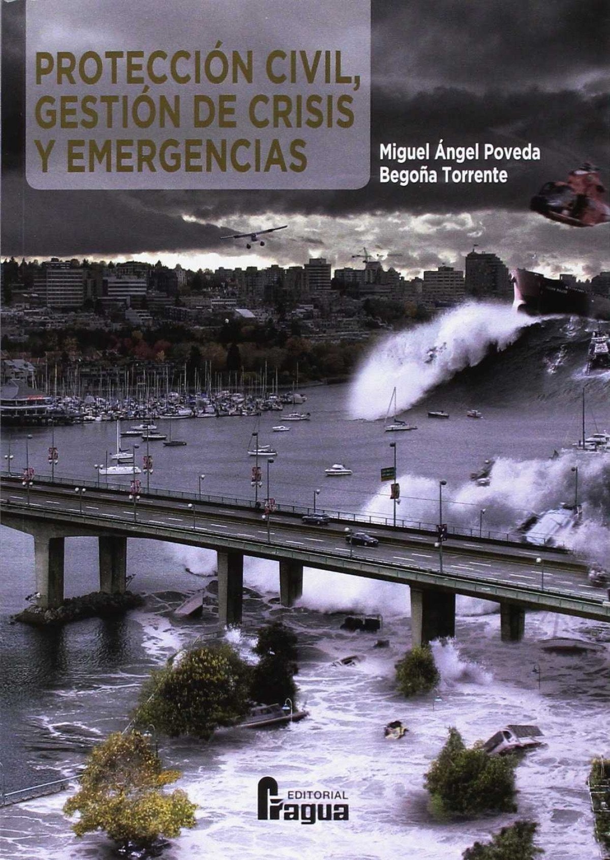  Protección Civil. Gestión de crisis y emergencias 