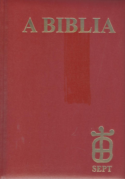  A biblia 