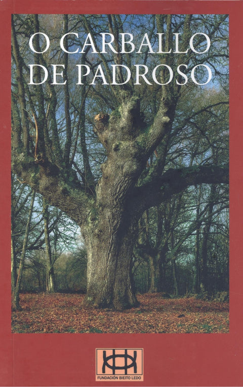  O Carballo de Padroso 
