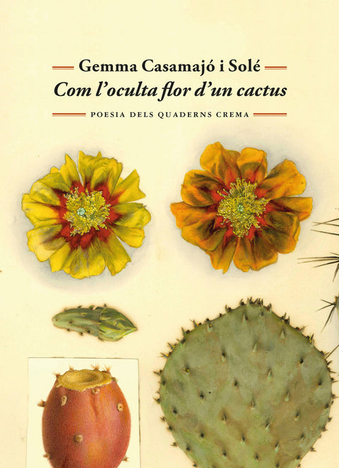  Com l'oculta flor d'un cactus 