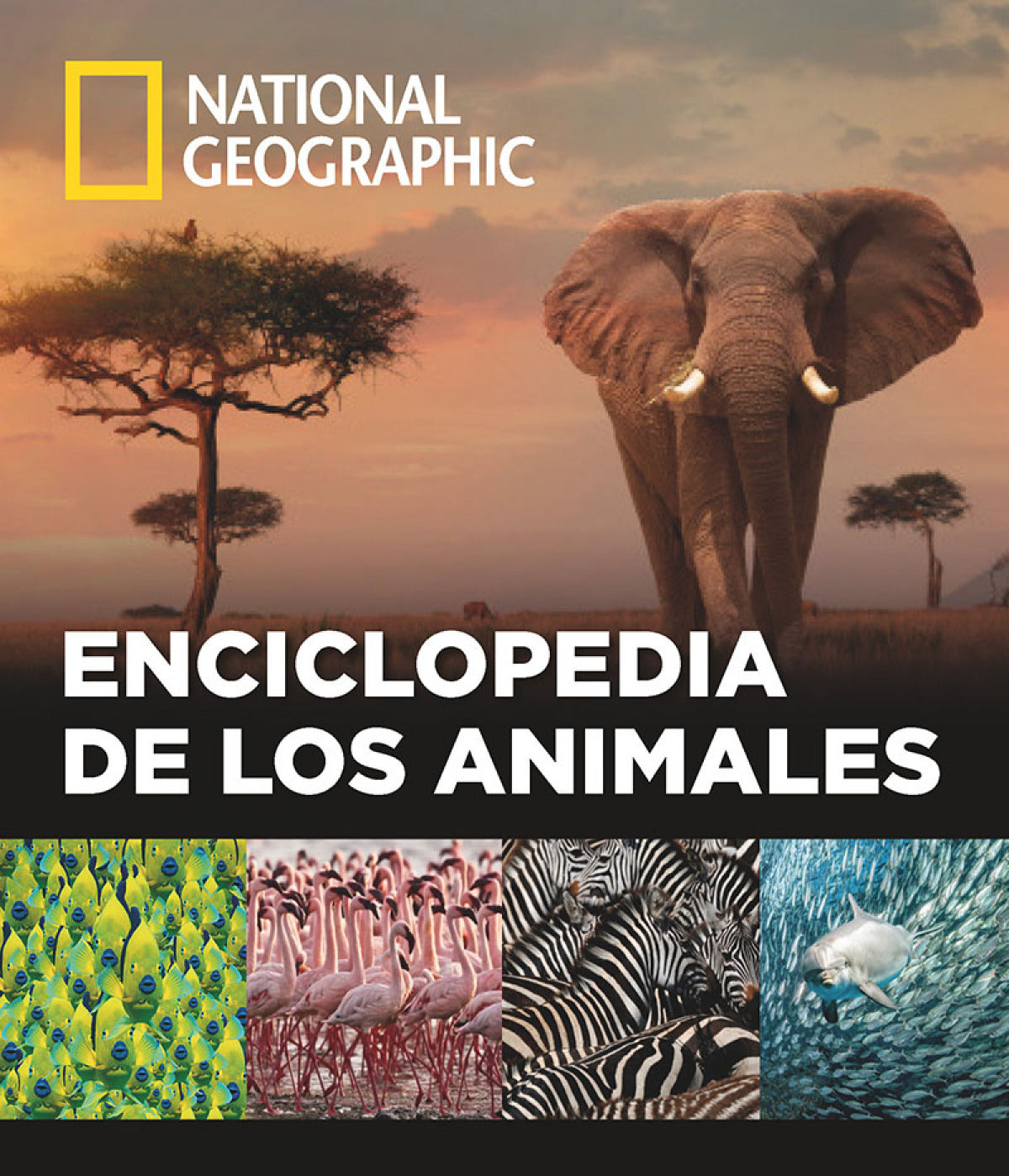  ENCICLOPEDIA DE LOS ANIMALES 