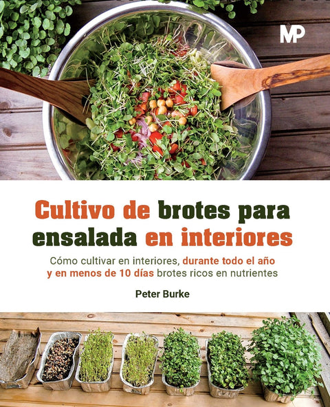  Cultivo de brotes para ensalada en interiores 