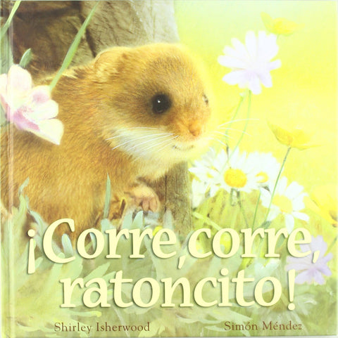  ¡Corre corre ratoncito! 