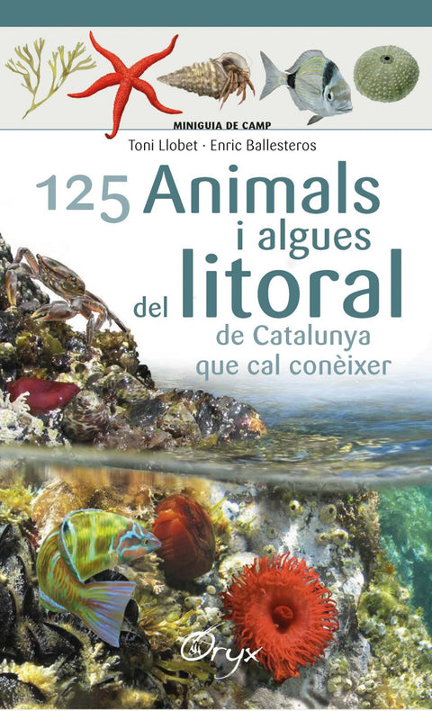  ANIMALS I ALGUES DEL LITORAL DE CATALUNYA QUE CAL CONÉIXER 