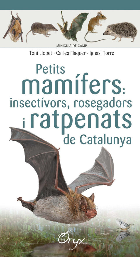  Petits mamífers: insectívors, rosegadors i ratpenats de Catalunya 