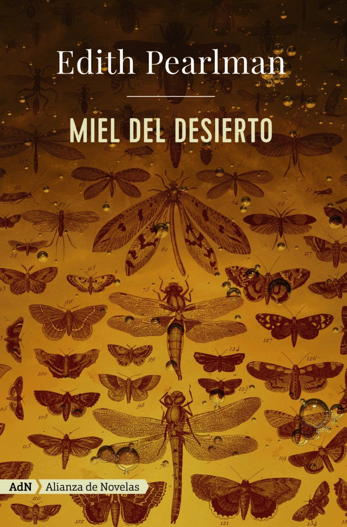  Miel del desierto (AdN) 