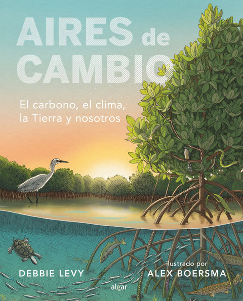  AIRES DE CAMBIO 