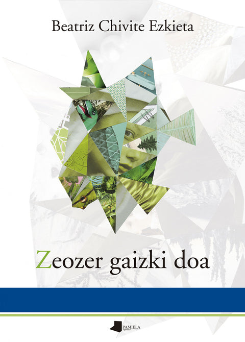  Zeozer gaizki doa 